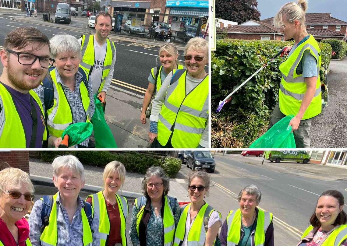 GACF Litterpick